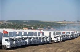 Ukraine kiểm tra xe chở hàng viện trợ của Nga 